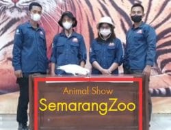 Promo Akhir Pekan, Tiket Trial Animals Show Semarang Zoo