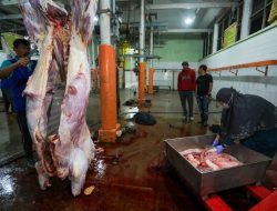 RPH Salatiga Makin Maksimal Berkat Pendampingan Pemprov Jateng