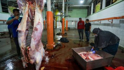 RPH Salatiga Makin Maksimal Berkat Pendampingan Pemprov Jateng