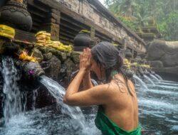 Jual Meja Makan Jati Jepara Terbaik di Denpasar, Bali