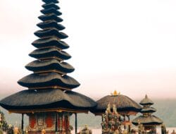 Jual meja makan trembesi Jepara di Bali harga terjangkau