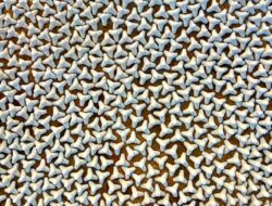 Jual Meja Trembesi Solid Blora Harga Murah di Jakarta