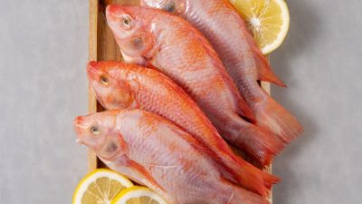 ikan marinasi blora