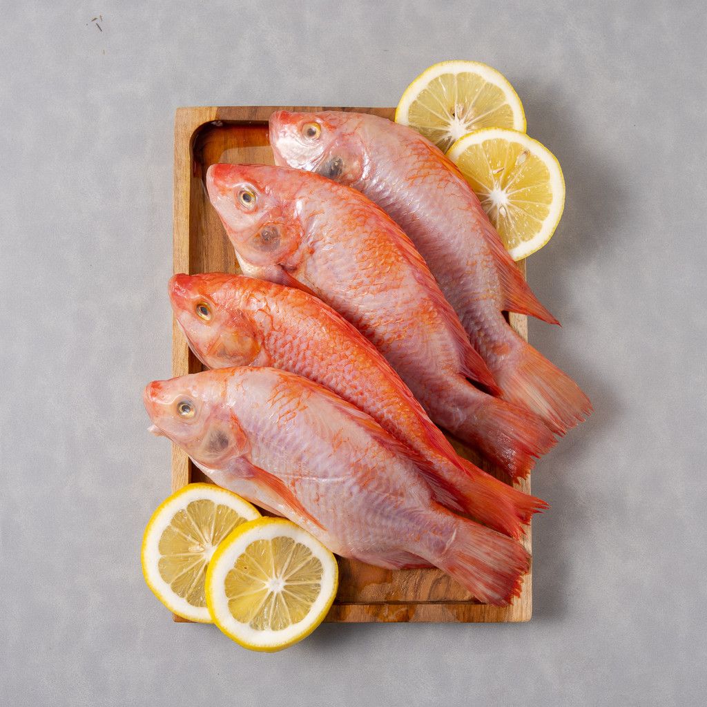 ikan marinasi blora