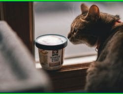 Cara Membuat Prompt AI yang Efektif: Panduan Lengkap untuk Hasil Maksimal di Gemini