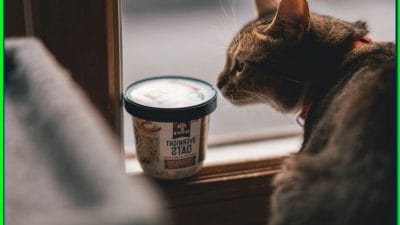 Cara Membuat Prompt AI