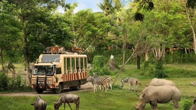 🌴 Bali Safari & Marine Park: 10 Alasan Mengapa Ini Destinasi Wisata Keluarga Terbaik di Gianyar 2025
